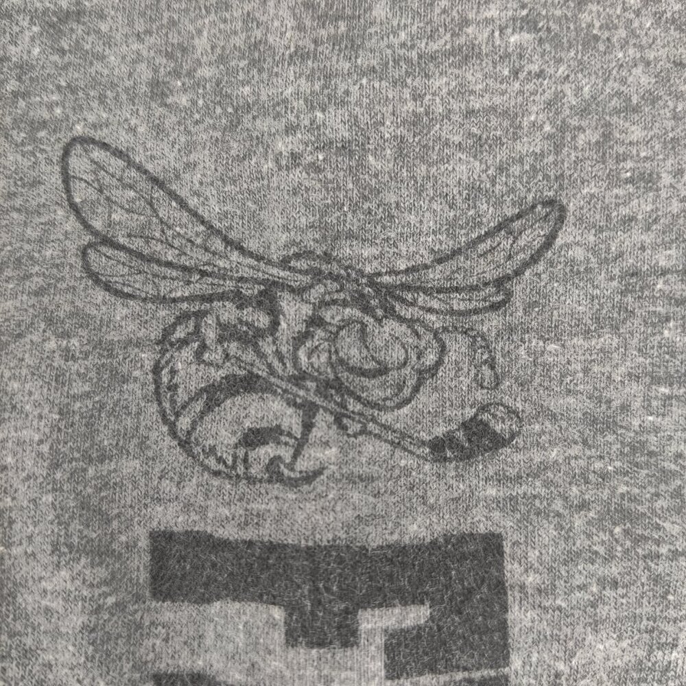 Rio Grande Valley Killer Bees Shirt Mens Small Gray Hockey Long Sleeve Tee Top - Picture 6 of 11